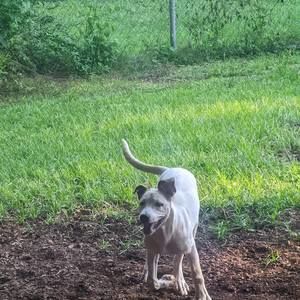 Meet your Posher, Derek